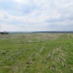 Парцел в с. Кошарица, Област Бургас - 2050 кв.м за 20 €/кв.м - Снимка #1