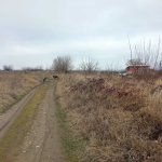 Земеделски имот в с. Брестник, Област Пловдив -  кв.м за 27000 €/дка - Снимка #1