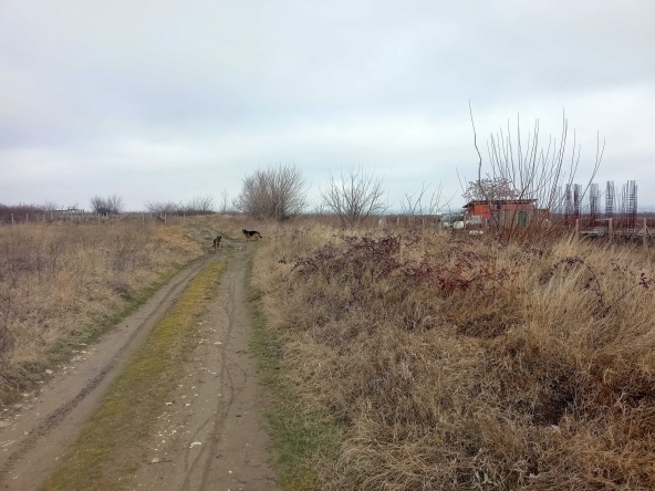 Земеделски имот в с. Брестник, Област Пловдив -  кв.м за 18360 €/дка - Снимка #1