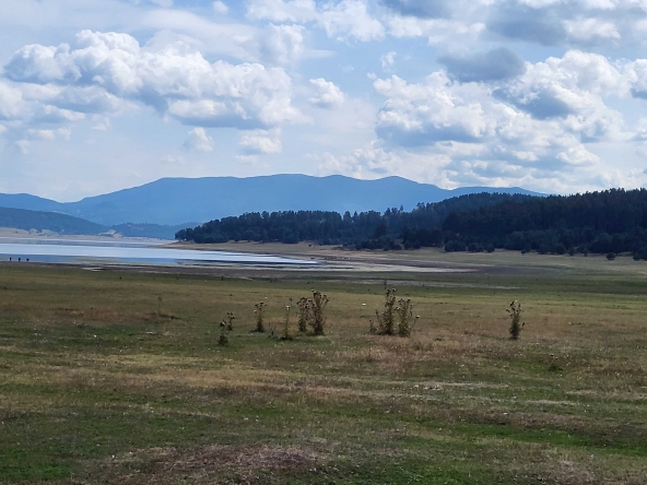 Парцел в Батак - 5000 кв.м за 16 €/кв.м - Снимка #1