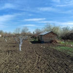 Парцел в с. Методиево, Област Добрич - 1200 кв.м за 7 €/кв.м - Снимка #1