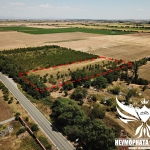 Парцел в с. Моминско, Област Пловдив - 7002 кв.м за 13 €/кв.м - Снимка #1