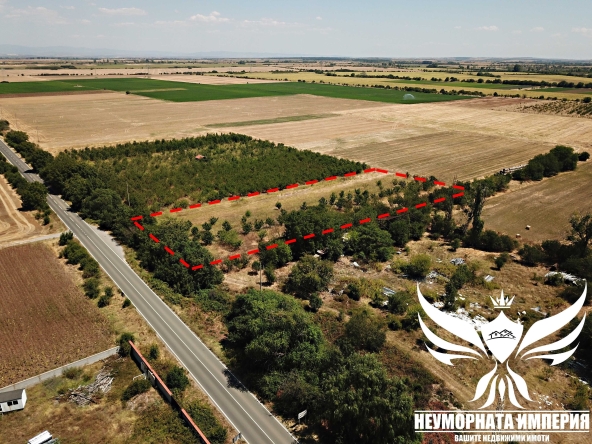 Парцел в с. Моминско, Област Пловдив - 7002 кв.м за 13 €/кв.м - Снимка #1