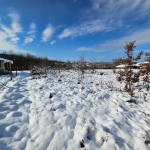 Парцел в с. Велчево, Област Велико Търново - 1300 кв.м за 15 €/кв.м - Снимка #1