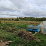 Къща в с. Градини, Област Добрич - 80 кв.м за 300 €/кв.м - Снимка #1