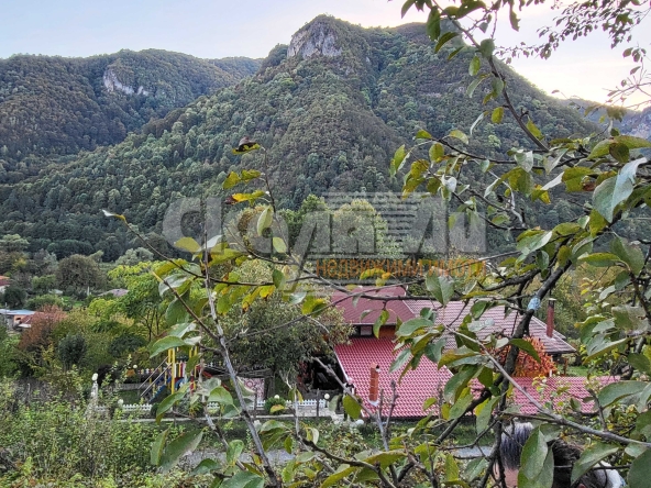 Къща в с. Рибарица, Област Ловеч - 170 кв.м за 930 €/кв.м - Снимка #1