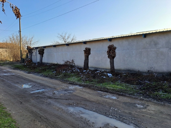 Промишлена сграда в с. Козаревец, Област Велико Търново - 2000 кв.м за 40 €/кв.м - Снимка #1