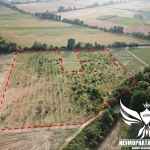 Парцел в с. Боянци, Област Пловдив - 29000 кв.м за 5 €/кв.м - Снимка #1