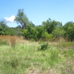 Парцел в Варна, Галата - 3500 кв.м за 70 €/кв.м - Снимка #1