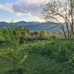 Парцел в с. Руска Бела, Област Враца - 1742 кв.м за 11 €/кв.м - Снимка #1