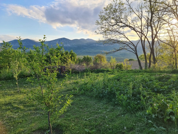 Парцел в с. Руска Бела, Област Враца - 1742 кв.м за 11 €/кв.м - Снимка #1