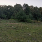 Парцел в Разлог - 300 кв.м за 30 €/кв.м - Снимка #1