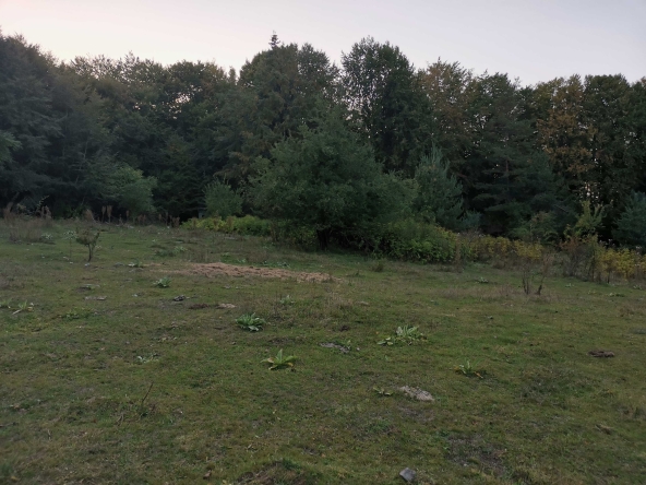 Парцел в Разлог - 300 кв.м за 30 €/кв.м - Снимка #1