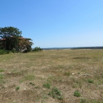 Парцел в с. Кошарица, Област Бургас - 2050 кв.м за 30 €/кв.м - Снимка #1