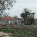 Къща в с. Раковски, Област Добрич - 90 кв.м за 500 €/кв.м - Снимка #1