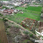 Земеделски имот в с. Червен, Област Пловдив -  кв.м за 19350 €/дка - Снимка #1