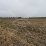 Парцел в с. Брестник, Област Пловдив - 3503 кв.м за 26 €/кв.м - Снимка #1