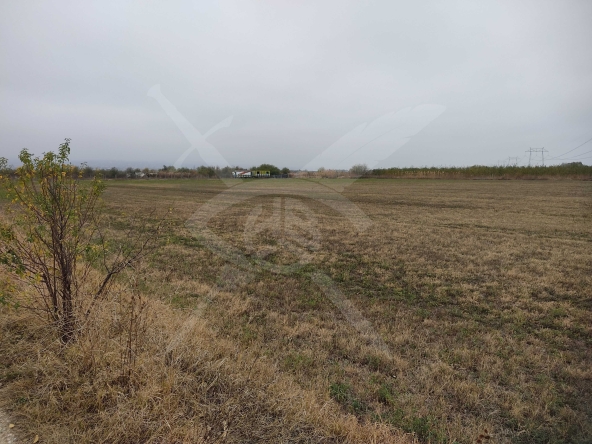 Парцел в с. Брестник, Област Пловдив - 3503 кв.м за 26 €/кв.м - Снимка #1