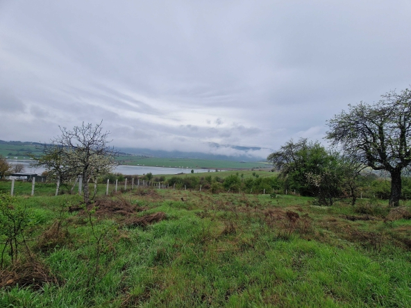 Парцел в с. Логодаж, Област Благоевград - 2130 кв.м за 20 €/кв.м - Снимка #1