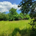 Парцел в с. Добрин, Област Добрич - 9600 кв.м за 2 €/кв.м - Снимка #1