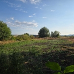 Парцел в с. Петърч, Област София-област - 976 кв.м за 100 €/кв.м - Снимка #1