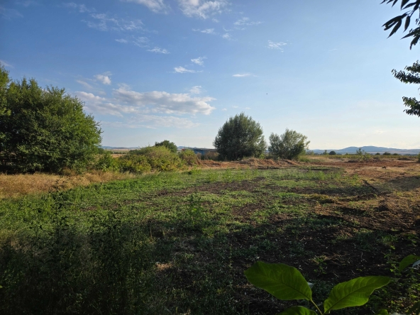 Парцел в с. Петърч, Област София-област - 976 кв.м за 100 €/кв.м - Снимка #1