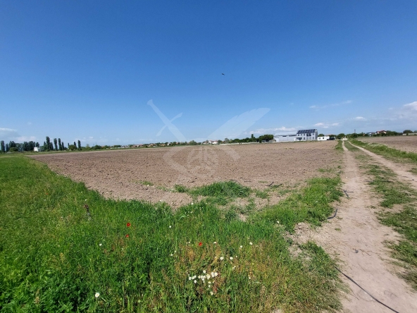 Парцел в с. Войводиново, Област Пловдив - 3000 кв.м за 25 €/кв.м - Снимка #1