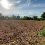 Парцел в с. Калипетрово, Област Силистра - 1911 кв.м за 14 €/кв.м - Снимка #1