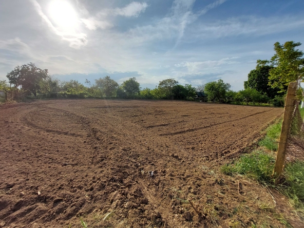 Парцел в с. Калипетрово, Област Силистра - 1911 кв.м за 14 €/кв.м - Снимка #1