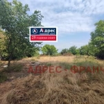 Парцел в с. Тодорово, Област Плевен - 1600 кв.м за 19 €/кв.м - Снимка #1