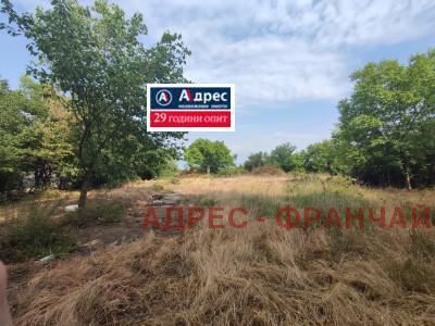 Парцел в с. Тодорово, Област Плевен - 1600 кв.м за 19 €/кв.м - Снимка #1