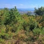 Парцел в Севлиево - 1500 кв.м за 5 €/кв.м - Снимка #1