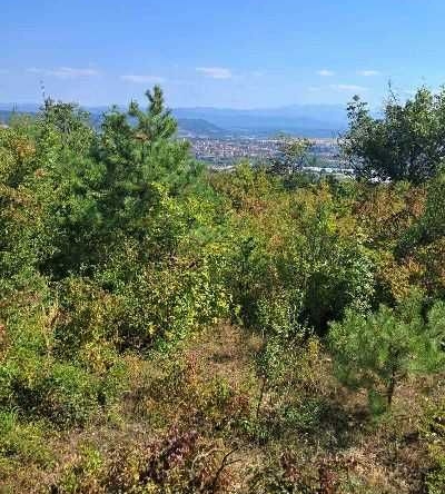 Парцел в Севлиево - 1500 кв.м за 5 €/кв.м - Снимка #1