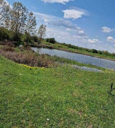 Парцел в с. Софрониево, Област Враца - 123000 кв.м за 2 €/кв.м - Снимка #1