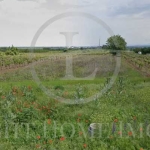 Парцел в с. Брестник, Област Пловдив - 2200 кв.м за 32 €/кв.м - Снимка #1