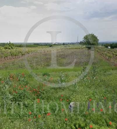 Парцел в с. Брестник, Област Пловдив - 2200 кв.м за 32 €/кв.м - Снимка #1