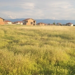 Парцел в с. Скутаре, Област Пловдив - 2100 кв.м за 14 €/кв.м - Снимка #1