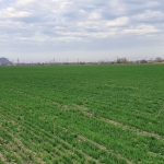 Парцел в Пловдив, Южен - 3500 кв.м за 30 €/кв.м - Снимка #1