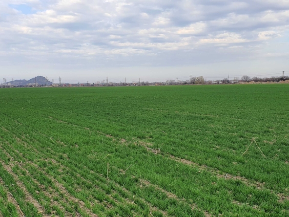 Парцел в Пловдив, Южен - 3500 кв.м за 30 €/кв.м - Снимка #1