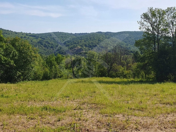 Парцел в с. Извор, Област Пловдив - 2760 кв.м за 6 €/кв.м - Снимка #1