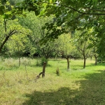 Парцел в Карлово - 2160 кв.м за 5 €/кв.м - Снимка #1