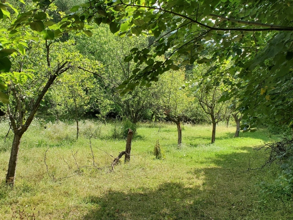 Парцел в Карлово - 2160 кв.м за 5 €/кв.м - Снимка #1