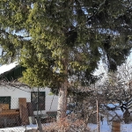 Къща в с. Лозен, Област София-град - 40 кв.м за 4000 €/кв.м - Снимка #1