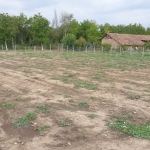 Къща в Павликени - 18 кв.м за 5667 €/кв.м - Снимка #1