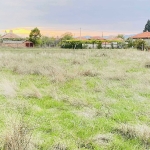 Парцел в с. Бегово, Област Пловдив - 2000 кв.м за 6 €/кв.м - Снимка #1