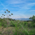 Парцел в с. Чайка, Област Варна - 1161 кв.м за 329 €/кв.м - Снимка #1