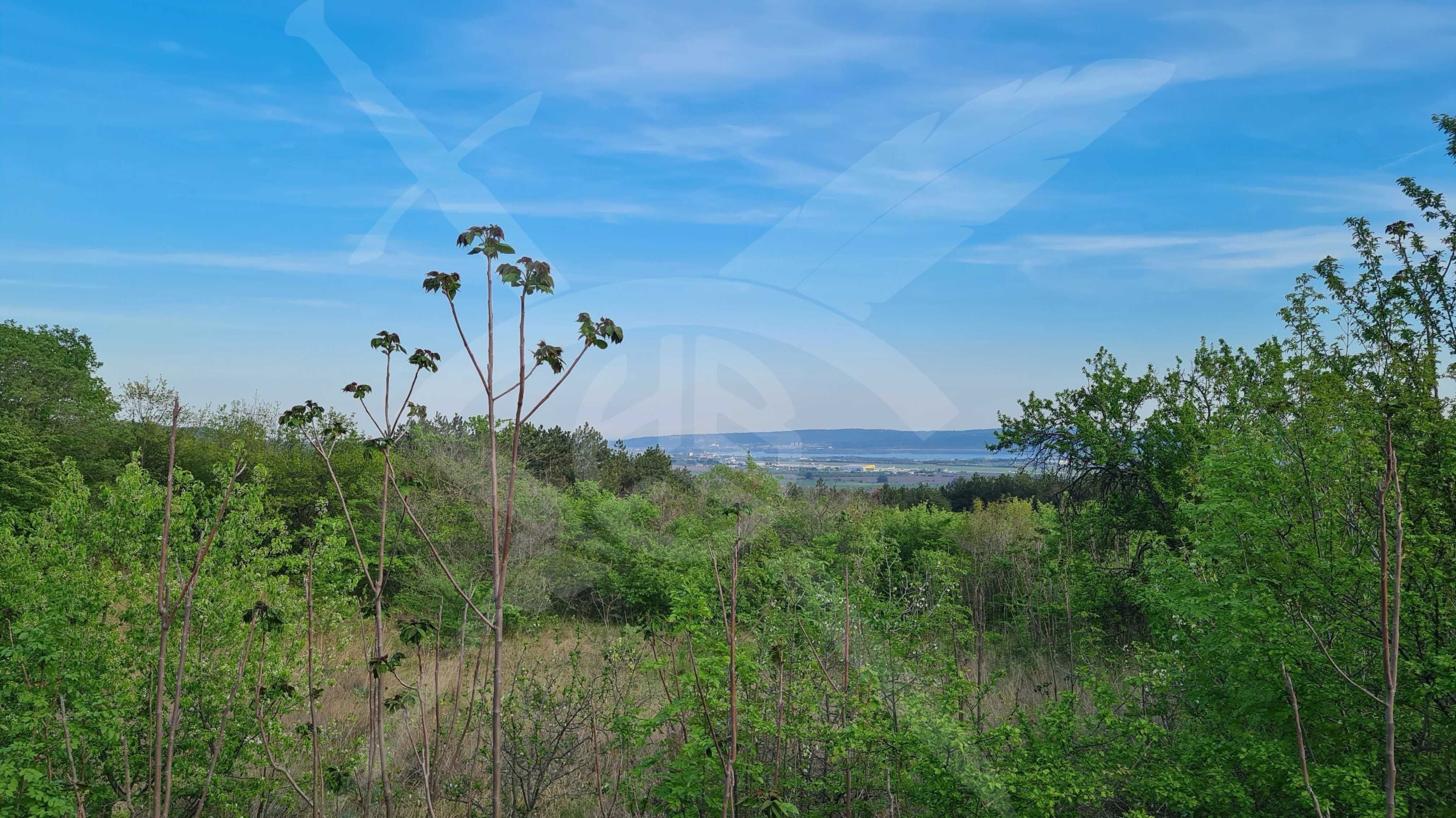 Парцел в с. Чайка, Област Варна - 1161 кв.м за 329 €/кв.м - Снимка #1