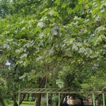 Четиристаен апартамент в София, Красна поляна 2 - 100 кв.м за 1170 €/кв.м - Снимка #1