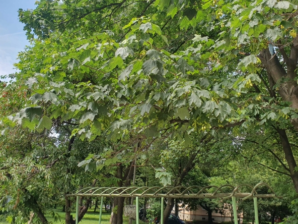 Четиристаен апартамент в София, Красна поляна 2 - 100 кв.м за 1170 €/кв.м - Снимка #1