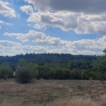 Парцел в с. Муртинци, Област Перник - 1363 кв.м за 8 €/кв.м - Снимка #1